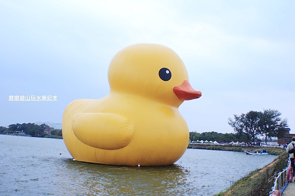 _MG_2869.jpg _MG_2869.jpg