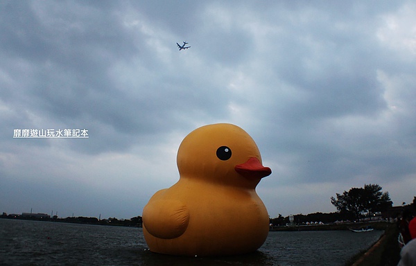 IMG_2822.jpg IMG_2822.jpg