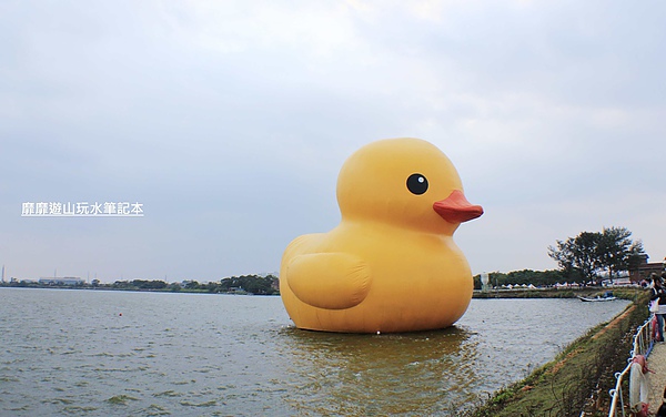 _MG_2877.jpg _MG_2877.jpg