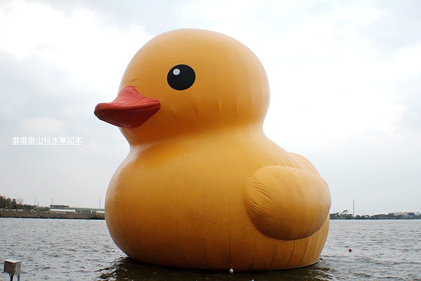 IMG_2749.jpg IMG_2749.jpg