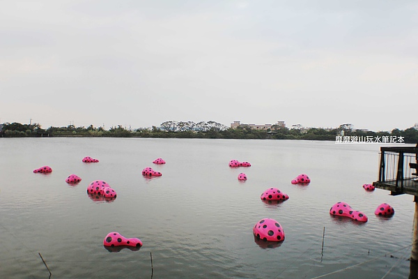 IMG_2899.jpg IMG_2899.jpg