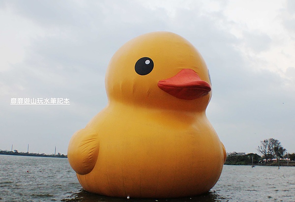 IMG_2788.jpg IMG_2788.jpg