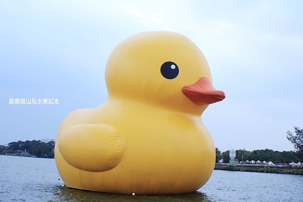 _MG_2865.jpg _MG_2865.jpg