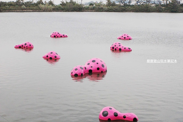 IMG_2911.jpg IMG_2911.jpg