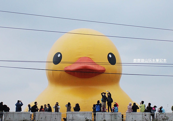 IMG_2895.jpg IMG_2895.jpg