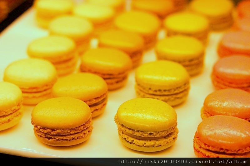 醉麻辣鴛鴦鍋專門 (26).JPG