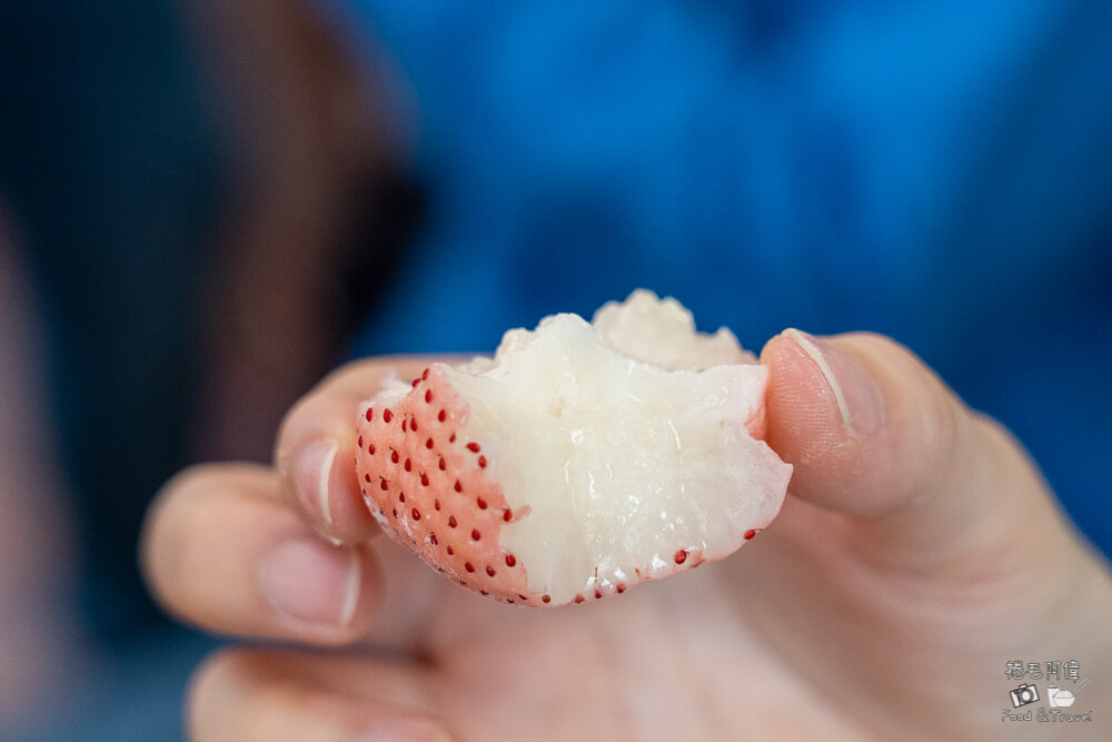 高雄鹽埕必買伴手禮！阿綿麻糬爆餡草莓大福，每日手工現作Q彈大顆超療癒。