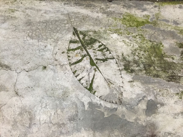 ［台北］大安區-好氏品牌研究室