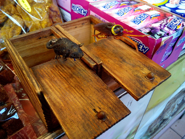 美勝珍蜜餞行：【臺南Ω中西區】美勝珍蜜餞。琳瑯滿目的古早味零嘴讓人看得眼花撩亂