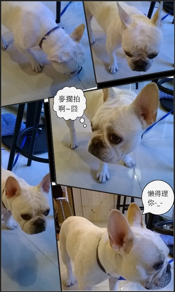 Mr.果：吃冰吃水果，超級豐富的水果雪綿冰就在Mr.果