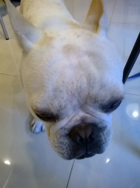 Mr.果：吃冰吃水果，超級豐富的水果雪綿冰就在Mr.果