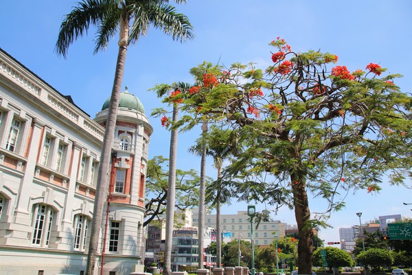 國立台灣文學館：【台南景點】國立台灣文學館~鳳凰花木為這片靜謐的街景和巴洛克式的老建築，增添了不少俏麗活潑的色彩