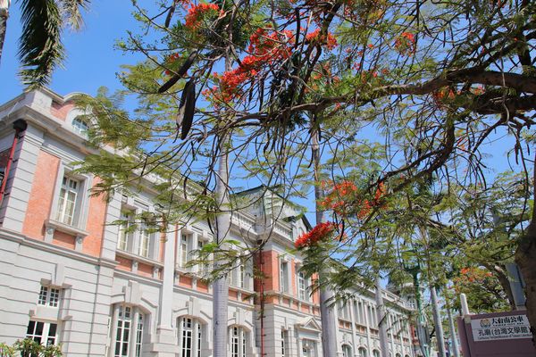 國立台灣文學館：【台南景點】國立台灣文學館~鳳凰花木為這片靜謐的街景和巴洛克式的老建築，增添了不少俏麗活潑的色彩