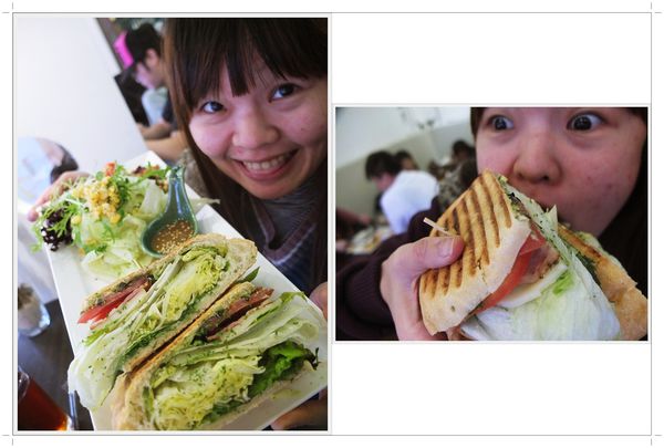 cats11.jpg cats11.jpg