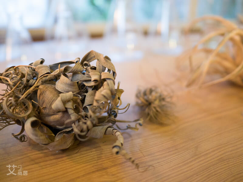 20160606B-15 (ino ice) 20160606B-15 (ino ice)