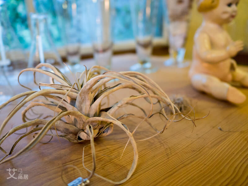 20160606B-14 (ino ice) 20160606B-14 (ino ice)