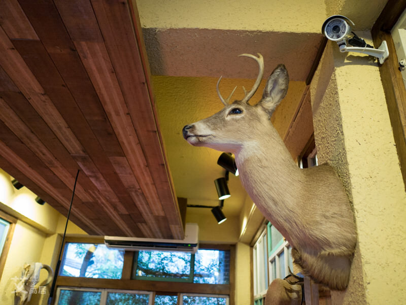 20160606B-20 (ino ice) 20160606B-20 (ino ice)