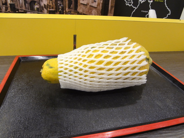 雪球客(永和總店)：1021120[官本金文愛台灣]雪球客這是Candy Crush嗎？吃甜點順便感受雷神索爾用摃槌仔敲走厄運讓幸運好運旺旺來