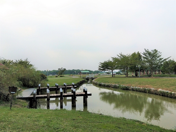 德元埤荷蘭村: 【台南柳營景點】德元埤荷蘭村~酪農昕鮮奶製品 巨大鬱金香IG網美最愛取景點