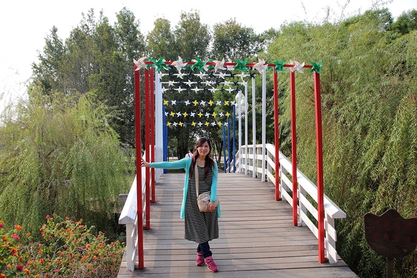 德元埤荷蘭村: 【台南柳營景點】德元埤荷蘭村~酪農昕鮮奶製品 巨大鬱金香IG網美最愛取景點