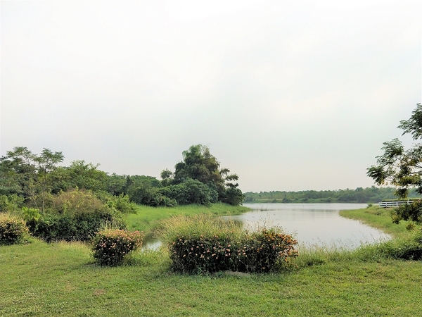 德元埤荷蘭村: 【台南柳營景點】德元埤荷蘭村~酪農昕鮮奶製品 巨大鬱金香IG網美最愛取景點