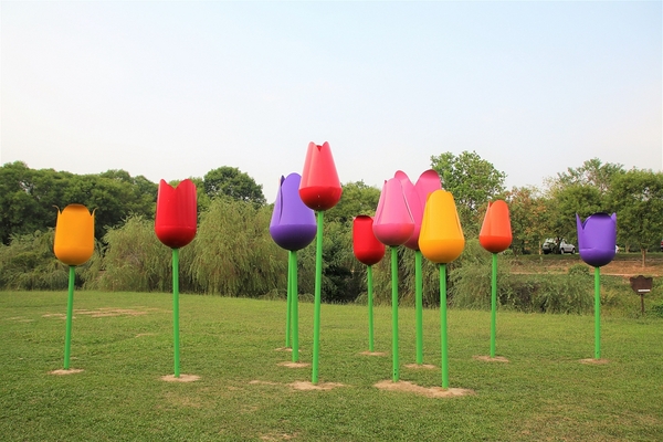 德元埤荷蘭村: 【台南柳營景點】德元埤荷蘭村~酪農昕鮮奶製品 巨大鬱金香IG網美最愛取景點