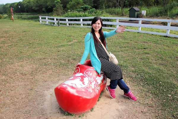 德元埤荷蘭村: 【台南柳營景點】德元埤荷蘭村~酪農昕鮮奶製品 巨大鬱金香IG網美最愛取景點