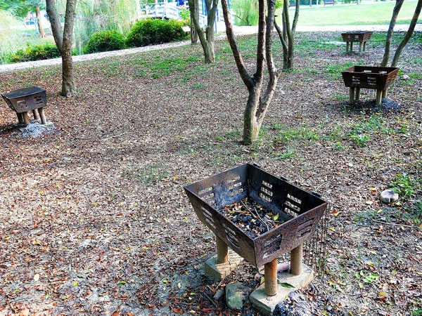 德元埤荷蘭村: 【台南柳營景點】德元埤荷蘭村~酪農昕鮮奶製品 巨大鬱金香IG網美最愛取景點