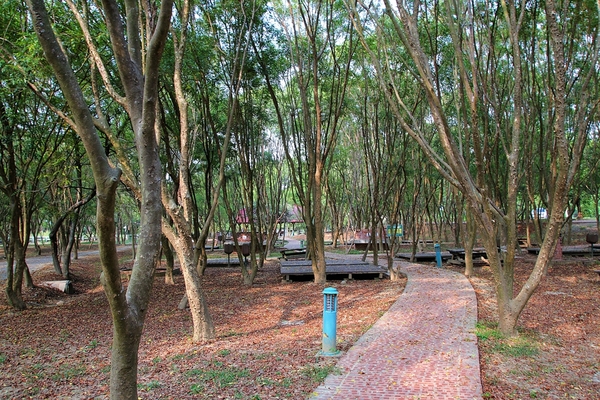 德元埤荷蘭村: 【台南柳營景點】德元埤荷蘭村~酪農昕鮮奶製品 巨大鬱金香IG網美最愛取景點