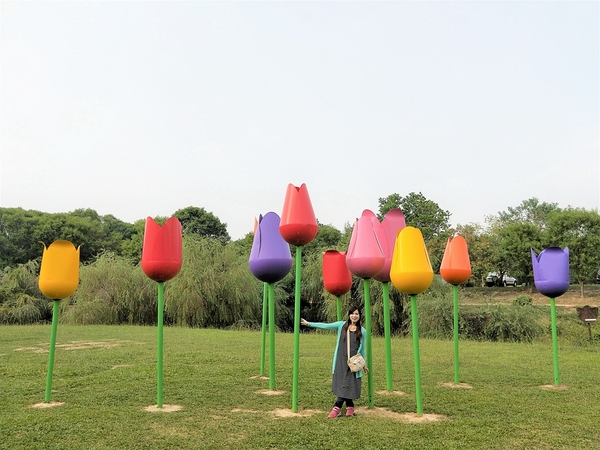 德元埤荷蘭村: 【台南柳營景點】德元埤荷蘭村~酪農昕鮮奶製品 巨大鬱金香IG網美最愛取景點