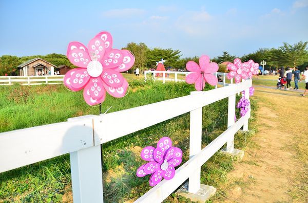 DSC_5579.jpg DSC_5579.jpg