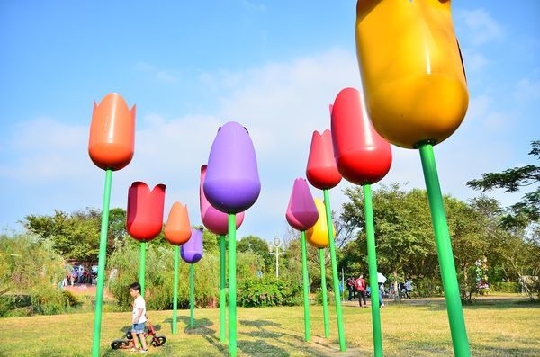 DSC_5472.jpg DSC_5472.jpg