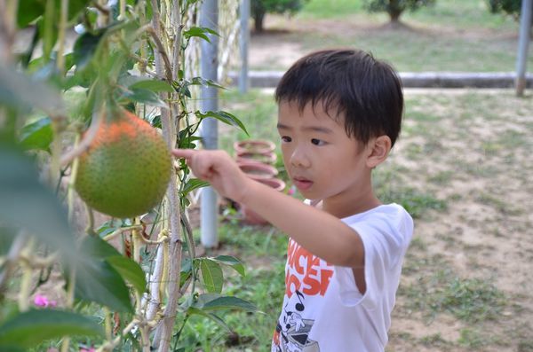 DSC_5647.jpg DSC_5647.jpg