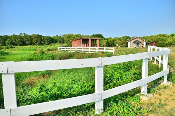 DSC_5537.jpg DSC_5537.jpg