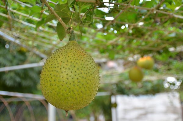 DSC_5643.jpg DSC_5643.jpg