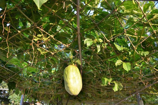 DSC_5638.jpg DSC_5638.jpg