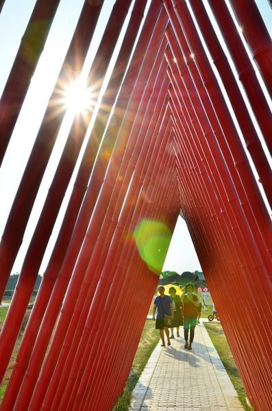 DSC_5524.jpg DSC_5524.jpg