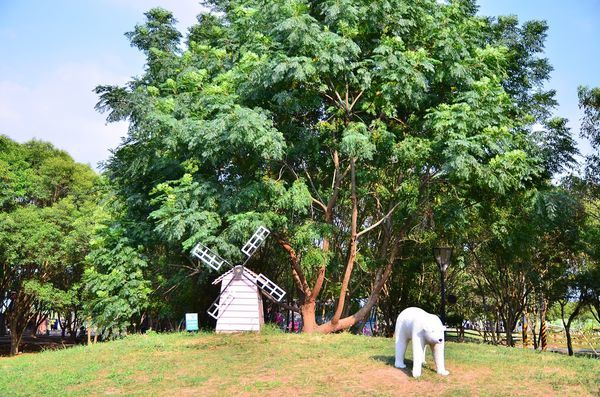 DSC_5435.jpg DSC_5435.jpg