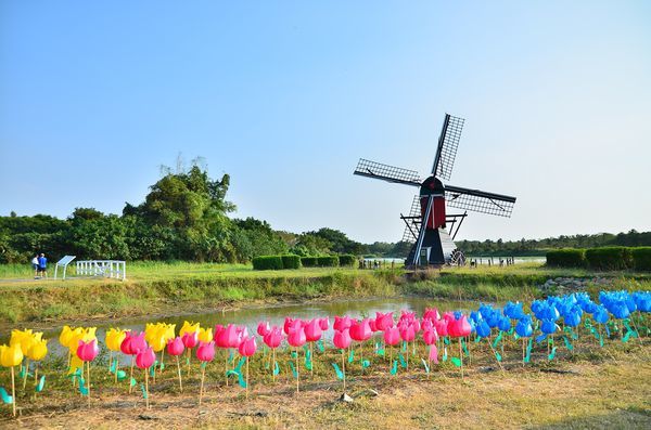 DSC_5567.jpg DSC_5567.jpg