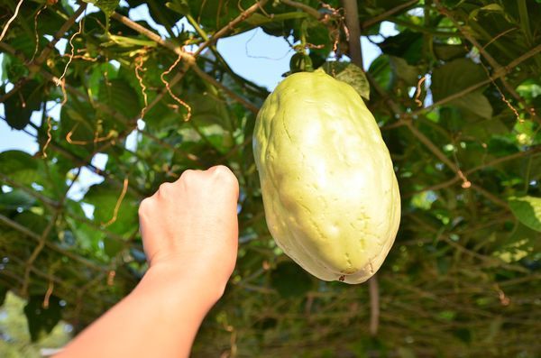 DSC_5640.jpg DSC_5640.jpg