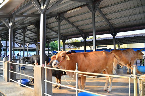 DSC_5630.jpg DSC_5630.jpg