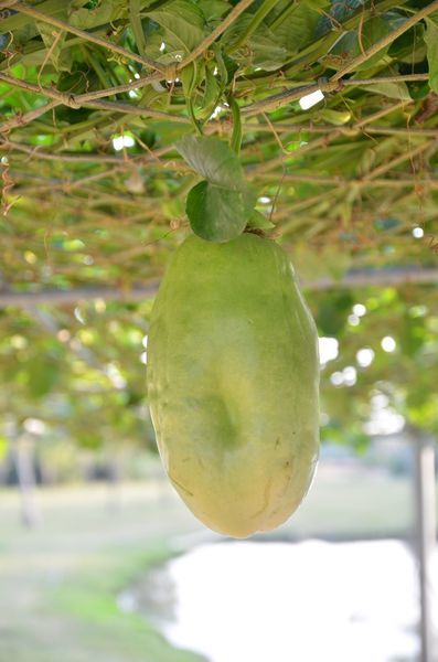 DSC_5636.jpg DSC_5636.jpg