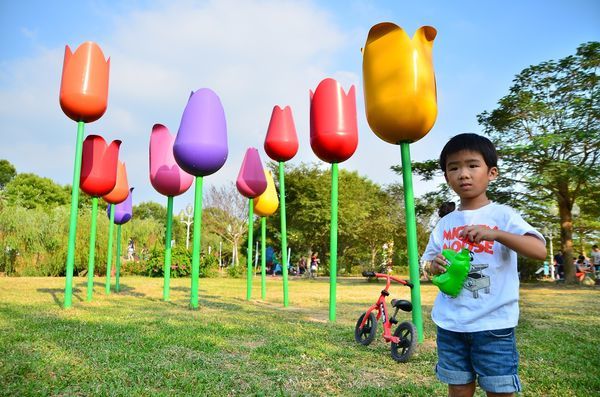 DSC_5474.jpg DSC_5474.jpg