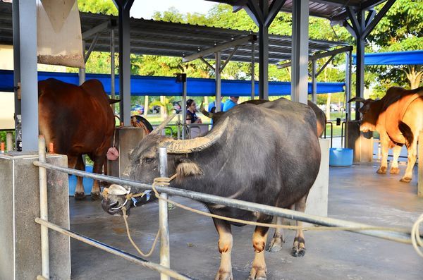 DSC_5628.jpg DSC_5628.jpg