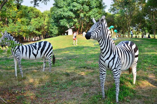 DSC_5444.jpg DSC_5444.jpg