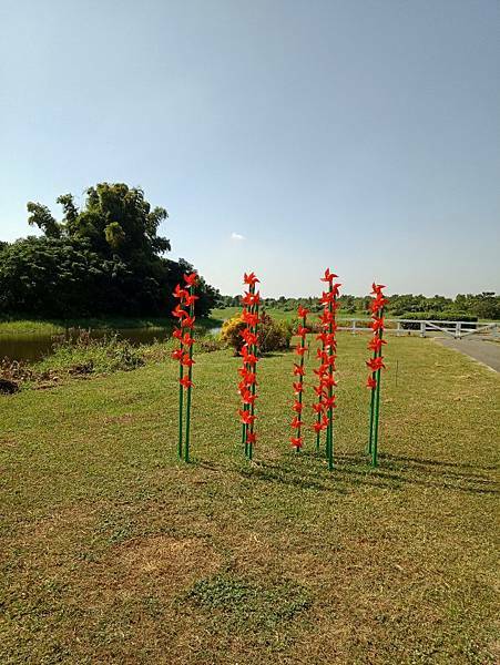 IMG20201002094420.jpg1105030820