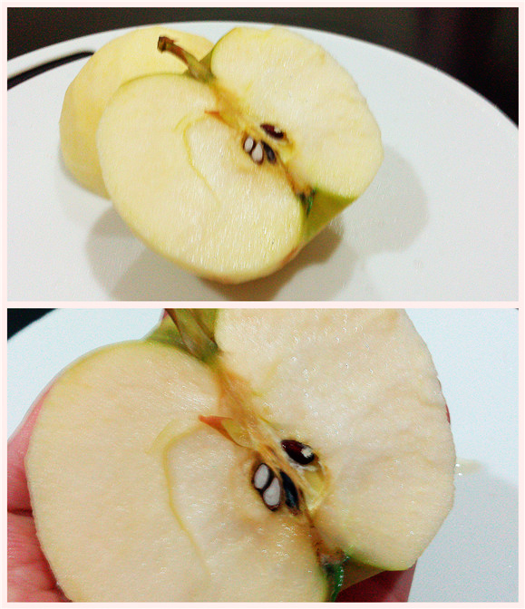 【網購】鮮果日誌-日本青森新品種─朱鷺蘋果 美味又多汁~~