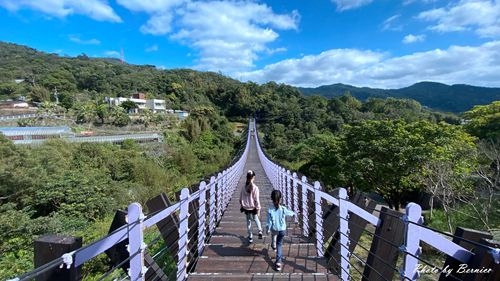 0219 碧山巖櫻花17.jpg