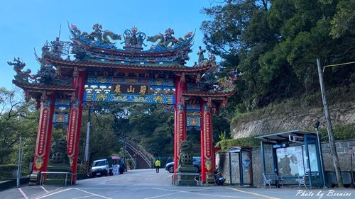 0219 碧山巖櫻花16.jpg