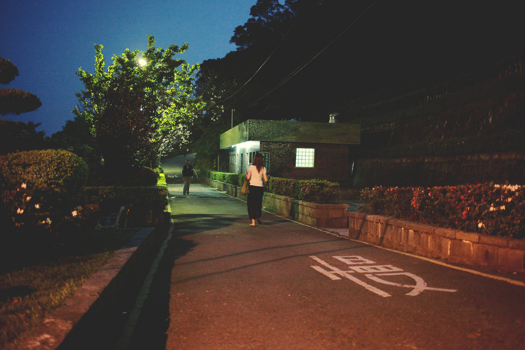 午後春櫻的台北小天梯